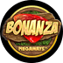 Bonanza Megaways