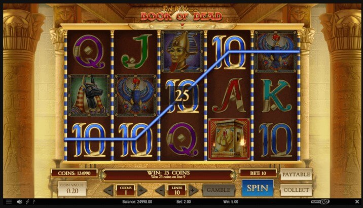 Book of Dead by Play'n GO slot review